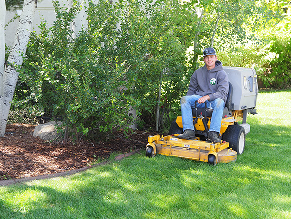  Lawn Maintenance Fort Collins, CO