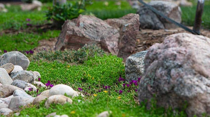  Garden Landscaping Loveland, CO